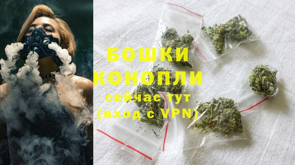 mix Богородицк