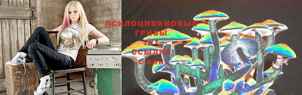 герыч Богданович