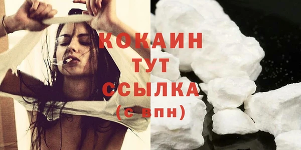 mix Богородицк